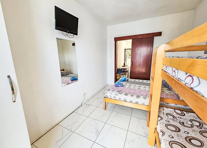 Octopus-1 By Interhome Bogomolje